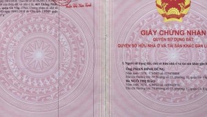 Bán nhà 247 Thống Nhất Phường 16 Quận Gò Vấp