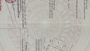 Bán nhà 177 Hoa Lan Phường 2 Quận Phú Nhuận