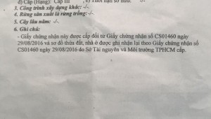 Bán nhà 1238 Trường Sa Phường 2 Quận Phú Nhuận