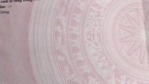 Bán nhà 11 Hoa Hồng Phường 2 Quận Phú Nhuận