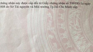 Bán nhà 54/3 Đào Duy Anh Phường 9 Quận Phú Nhuận