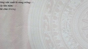 Bán nhà 489A/23/179 Huỳnh Văn Bánh Phường 13 Quận Phú Nhuận