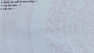 Bán nhà 220/6 Hồ Văn Huê Phường 15 Quận Phú Nhuận
