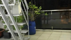 Bán nhà 14 Hoa Lài Phường 17 Quận Phú Nhuận