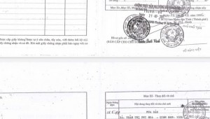 Bán nhà 111-113-115-117 Phan Đình Phùng Phường 17 Quận Phú Nhuận