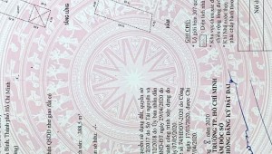 Bán nhà 305C/8A Nguyễn Văn Trỗi Phường 1 Quận Tân Bình