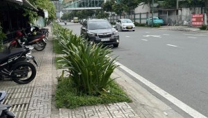 Bán nhà 1A Bạch Đằng Phường 2 Quận Tân Bình