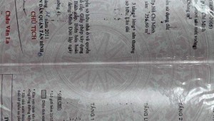 Bán nhà 21/15/8 Trường Sơn Phường 2 Quận Tân Bình