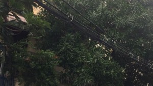 Bán nhà 17 Sông Nhuệ Phường 2 Quận Tân Bình
