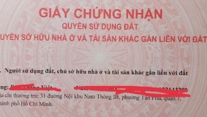 Bán nhà 8BThửa: 42Tờ: 56. Thích Minh Nguyệt Phường 2 Quận Tân Bình