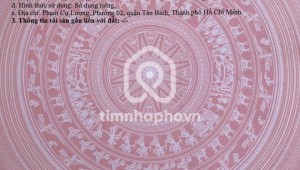 Bán nhà 2025-11-02 00:00:00 Phạm Cự Lượng Phường 2 Quận Tân Bình
