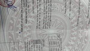 Bán nhà 71/2/67 Nguyễn Bặc Phường 3 Quận Tân Bình