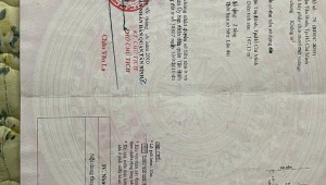 Bán nhà 1945-08-01 00:00:00 Nguyễn Đình Khơi Phường 4 Quận Tân Bình