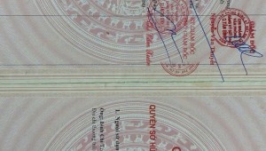 Bán nhà 69 Chấn Hưng Phường 6 Quận Tân Bình