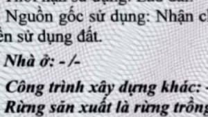 Bán nhà 548-550 Lý Thường Kiệt Phường 7 Quận Tân Bình