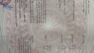 Bán nhà 7 Gò Cẩm Đệm Phường 10 Quận Tân Bình