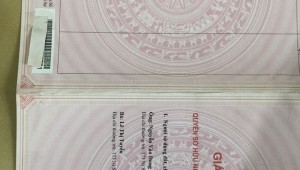 Bán nhà 173 Ni Sư Huỳnh Liên Phường 10 Quận Tân Bình