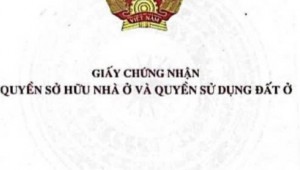 Bán nhà 967 Lạc Long Quân Phường 11 Quận Tân Bình