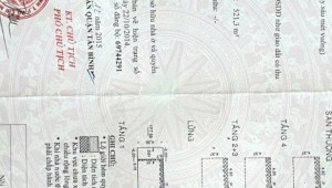 Bán nhà 2025-10-02 00:00:00 Bàu Bàng Phường 13 Quận Tân Bình