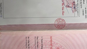Bán nhà 46-44/2 Tân Hải Phường 13 Quận Tân Bình