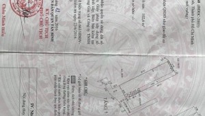Bán nhà 40/15/2 Hoàng Bật Đạt Phường 15 Quận Tân Bình