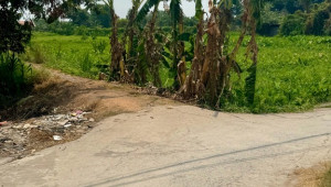 Bán nhà Thửa ĐS 135 Tờ BĐS 10 Đường ĐT 7-1-1, Hóc Môn. DT: 8.6m x 99.5m, diện tích: 909m2 giá: 6.0 tỷ