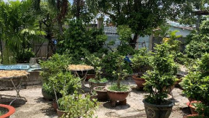 Bán nhà Tờ Bản Đồ Số 19 Thửa Đất Số 561, Hóc Môn. DT: 12.0m x 22.0m, diện tích: 238m2 giá: 7.5 tỷ