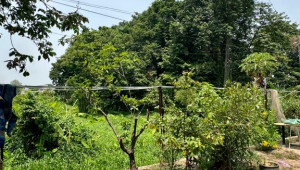 Bán nhà Thửa ĐS 135 Tờ BĐS 10 Đường ĐT 7-1-1, Hóc Môn. DT: 9.8m x 101.7m, diện tích: 1011m2 giá: 7.0 tỷ