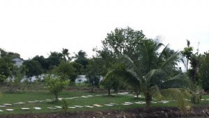 Bán nhà Thửa 68+70 Tờ 04 Ấp 2 ĐT 835C, Bình Tân. DT: 70.0m x 100.0m, diện tích: 0m2 giá: 27.0 tỷ