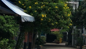 Bán nhà 69/13A số 5, Quận 2. DT: 4.0m x 16.0m, diện tích: 64m2 giá: 7.3 tỷ