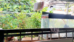Bán nhà 83 ( thửa 630 tờ bản đồ số 25) Đường số 6, Quận 2. DT: 4.5m x 12.0m, diện tích: 52m2 giá: 4.2 tỷ