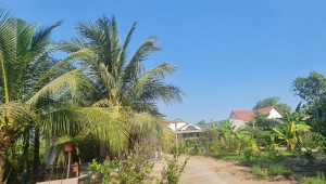 Bán nhà 190 Thanh Niên, Bình Chánh. DT: 30.0m x 130.0m, diện tích: 3335m2 giá: 43.0 tỷ