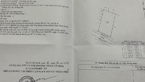 Bán nhà thửa 316 tờ bản đồ 97 Thanh Niên, Bình Chánh. DT: 20.0m x 40.0m, diện tích: 800m2 giá: 10.0 tỷ