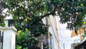 Bán nhà 7/13 (Hẻm 255) Nguyễn Đức Thiệu, Thủ Đức. DT: 5.0m x 20.0m, diện tích: 98m2 giá: 2.8 tỷ