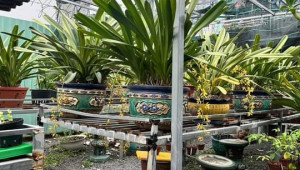 Bán nhà 35/3 ấp chánh 2, Hóc Môn. DT: 12.0m x 13.0m, diện tích: 139m2 giá: 4.0 tỷ
