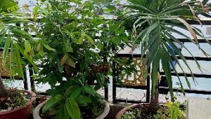 Bán nhà 13/5 Nguyễn Triệu Luật, Bình Tân. DT: 4.0m x 11.0m, diện tích: 45m2 giá: 4.5 tỷ