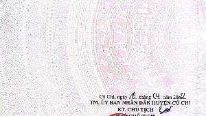 Bán nhà Thửa 918 tờ bản đồ 23 Ba Sa, Củ Chi. DT: 12.3m x 92.0m, diện tích: 1075m2 giá: 3.6 tỷ