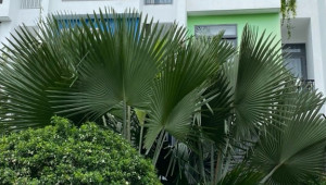 Bán nhà 23/26c đường số 12, Thủ Đức. DT: 4.0m x 17.0m, diện tích: 68m2 giá: 6.4 tỷ