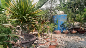 Bán nhà 25/63/12/17 số 5, Thủ Đức. DT: 12.0m x 40.5m, diện tích: 484m2 giá: 23.0 tỷ