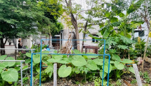 Bán nhà Thửa 533 tờ 45 Song Hành Xa Lộ Hà Nội, Thủ Đức. DT: 5.5m x 9.0m, diện tích: 47m2 giá: 2.95 tỷ