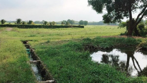 Bán nhà 155 528, Củ Chi. DT: 96.0m x 50.0m, diện tích: 4807m2 giá: 7.752 tỷ