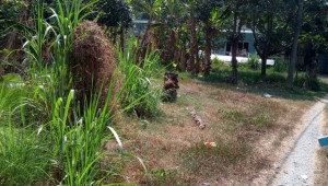 Bán nhà Thửa 40 tờ 52 TL15, Củ Chi. DT: 20.0m x 27.5m, diện tích: 555m2 giá: 2.0 tỷ