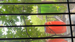 Bán nhà 208 phú thuận, Củ Chi. DT: 8.0m x 38.0m, diện tích: 305m2 giá: 5.0 tỷ