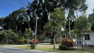 Bán nhà Thửa 19 Tờ 32 An Nhơn Tây, Củ Chi. DT: 65.0m x 0.0m, diện tích: 8447m2 giá: 29.0 tỷ