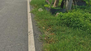 Bán nhà thửa 543, 546 tờ 2 Tỉnh Lộ 15, Củ Chi. DT: 42.0m x 63.0m, diện tích: 2702m2 giá: 19.0 tỷ