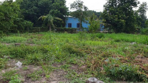 Bán nhà 185/1 Nguyễn Thị Đó, Củ Chi. DT: 25.0m x 73.0m, diện tích: 1939m2 giá: 6.7 tỷ