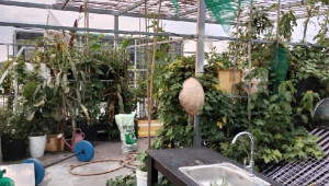 Bán nhà 72/1E Lê Thị My, Hóc Môn. DT: 8.0m x 7.0m, diện tích: 56m2 giá: 3.95 tỷ