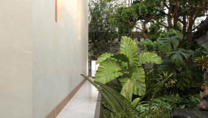 Bán nhà Thửa 1116 , tờ bản đồ số 34 Dương Công Khi, Hóc Môn. DT: 17.1m x 28.9m, diện tích: 331m2 giá: 7.1 tỷ
