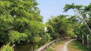 Bán nhà Thửa đất số 481 tờ bản đồ số 1 Nguyễn thị Ngâu, Hóc Môn. DT: 45.0m x 41.0m, diện tích: 1807m2 giá: 5.5 tỷ