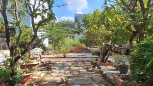 Bán nhà 1191//( Thửa 709 +1192, tờ số 36) Lê Văn Lương, Nhà Bè. DT: 11.6m x 40.0m, diện tích: 488m2 giá: 11.61 tỷ